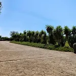Finca Casa Mas